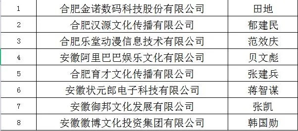 合肥政务学化妆 合肥政务文化投资有限公司