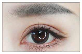 学化妆眼影教程 初学化妆眼影的画法