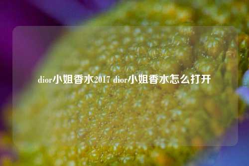 dior小姐香水2017 dior小姐香水怎么打开