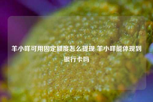 羊小咩可用固定额度怎么提现 羊小咩能体现到银行卡吗