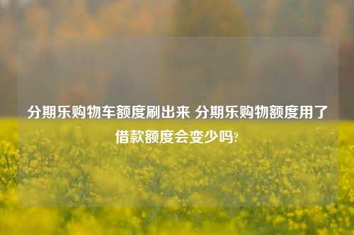 分期乐购物车额度刷出来 分期乐购物额度用了借款额度会变少吗?