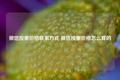 微信投票价格联系方式 微信投票价格怎么算的