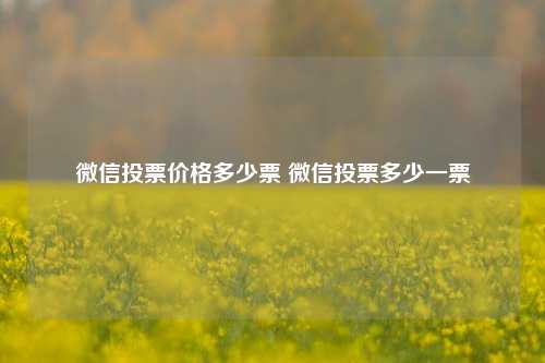 微信投票价格多少票 微信投票多少一票