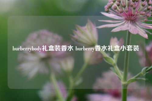 burberrybody礼盒装香水 burberry香水礼盒小套装