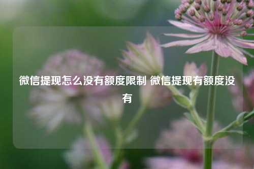 微信提现怎么没有额度限制 微信提现有额度没有