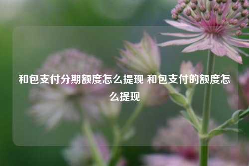 和包支付分期额度怎么提现 和包支付的额度怎么提现