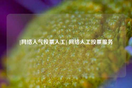 [网络人气投票人工] 网络人工投票服务