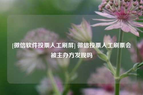 [微信软件投票人工刷屏] 微信投票人工刷票会被主办方发现吗