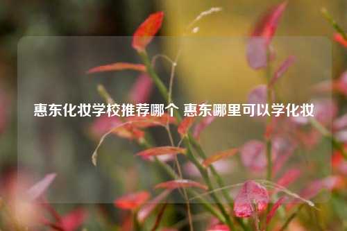 惠东化妆学校推荐哪个 惠东哪里可以学化妆