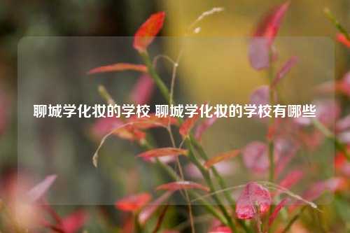 聊城学化妆的学校 聊城学化妆的学校有哪些