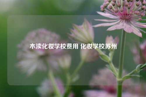 木渎化妆学校费用 化妆学校苏州