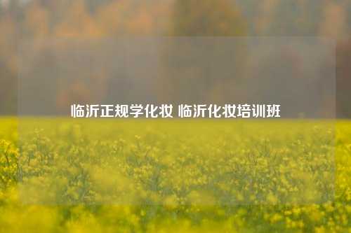 临沂正规学化妆 临沂化妆培训班